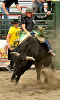 Rodeo Alaska Bull Riding