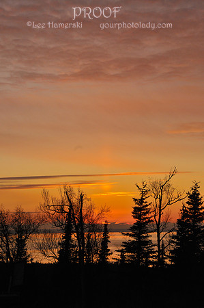 Sunset with Trees